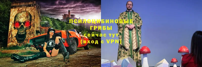 магазин продажи   MEGA рабочий сайт  Галлюциногенные грибы мицелий  Кузнецк 