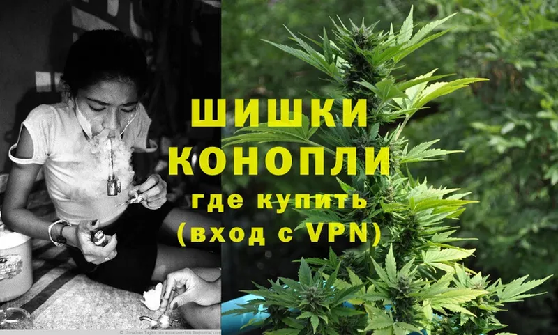 Бошки марихуана SATIVA & INDICA  наркота  Кузнецк 